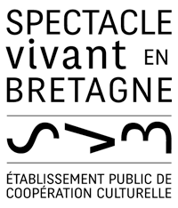 logo svb 2013